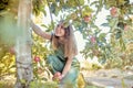 Young cheerful woman picking apples from a tree. Happy female grabbing fruits in an orchard during harvest season. Fresh Royalty Free Stock Photo