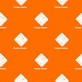 Young cheese pattern vector orange