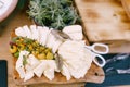 Young cheese with a sprig of cherry tomatoes on a plate with kitchen scissors-tongs. Royalty Free Stock Photo