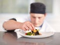 I do everything to perfection. Young chef putting the final perfect touches to his superbly prepared dish.