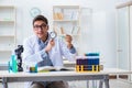 The young chemist student working in lab on chemicals Royalty Free Stock Photo