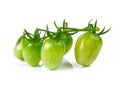 Young cherry tomatoes on white background. Royalty Free Stock Photo