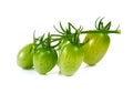 Young cherry tomatoes on white background. Royalty Free Stock Photo