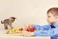 Young chessplayer with striped kitten plays chess. Royalty Free Stock Photo