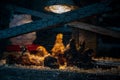 Young chicks inside a chicken brooder cage with a heat lamp, wood shaving bedding, food and water Royalty Free Stock Photo