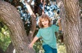 Young child blond boy climbing tree. Happy child playing in the garden climbing on the tree. Children love nature on Royalty Free Stock Photo