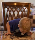 Young child sitting at a table eating a marshmallow off of a plate