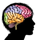 Young child brain concept