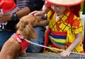 Young Child Japanese Festival Dancer and a Dog
