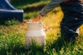 Young child between one and two years old collecting pine cones throwing them in a milk can in the garden of a farm while the warm