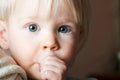 Young child sucking her thumb. Royalty Free Stock Photo