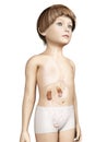 Young child - urinary system