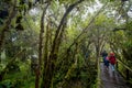 Young children education tour at Ang Ka nature trail Doi Inthanon National Park