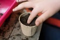 Young children learning how to plant seeds in garden. Narrow depth of field of hands holding seeds and black soil in pot.