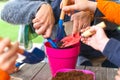 Young children learning how to plant seeds in garden. Narrow depth of field of hands holding seeds and black soil in pot. Royalty Free Stock Photo