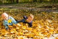 Young children playing in autumn leaves Royalty Free Stock Photo