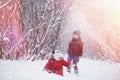 Young children are walking in the winter park. Winte Royalty Free Stock Photo