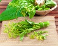 Young Chinese cabbage flower