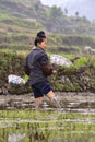 Young Chinese woman farmer standing knee-deep in mud, rice field