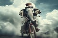 Young circus Elephant riding a bike in the clouds Royalty Free Stock Photo