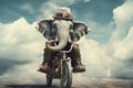 Young circus Elephant riding a bike in the clouds Royalty Free Stock Photo
