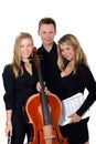 Young classic music trio Royalty Free Stock Photo