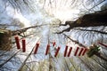 Young climber go on a suspension bridge