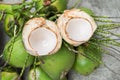 Young coconut Royalty Free Stock Photo