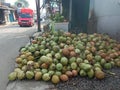 Young coconut fruits for iftar takjil in the month of Ramadan