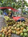 Young coconut seller in Rawalumbu, Citty Bekasi