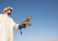 Young common kestrel being trained for a desert falconry show in Dubai, UAE.