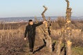 Young confident man in black clothes walks among his old garden, sawed apple trunkes