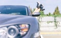 Young cool girl with shoes out of the automobile window to enjoy the view