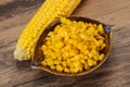 Young corn seeds in the bowl Royalty Free Stock Photo