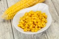 Young corn seeds in the bowl Royalty Free Stock Photo