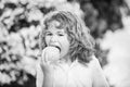 Young country boy is eating an apple on an apple orchard or farm. Royalty Free Stock Photo