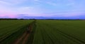 Young couple. ATV moving on a country road. Rural field with wheat. Russia, Krasnodar. quadrotor filming.