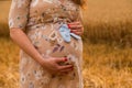 Young couple awaiting baby embrace the field