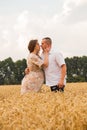 Young couple awaiting baby among the wheat field Royalty Free Stock Photo