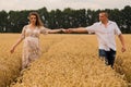 Young couple awaiting baby among the wheat field Royalty Free Stock Photo
