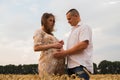 Young couple awaiting baby among the wheat field Royalty Free Stock Photo