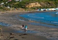 Young couple with a baby in a pram and a dog walk along the deserted Titahi Bay in New Zealand