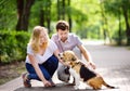 Young couple with Beagle dog in the summer park Royalty Free Stock Photo