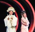 A young couple in beijing opera Royalty Free Stock Photo
