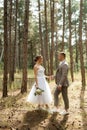 young couple bride in a white short dress and groom in a gray suit in a pine forest