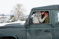 Young couple in car in snow Royalty Free Stock Photo