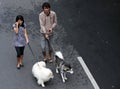 A young couple carrying dog peliharaanya in solo car free day a