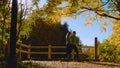 Young couple dancing on the bridge in the park Royalty Free Stock Photo