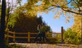 Young couple dancing on the bridge in the park Royalty Free Stock Photo