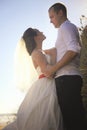 Young couple dressed n wedding gown looking each other Royalty Free Stock Photo